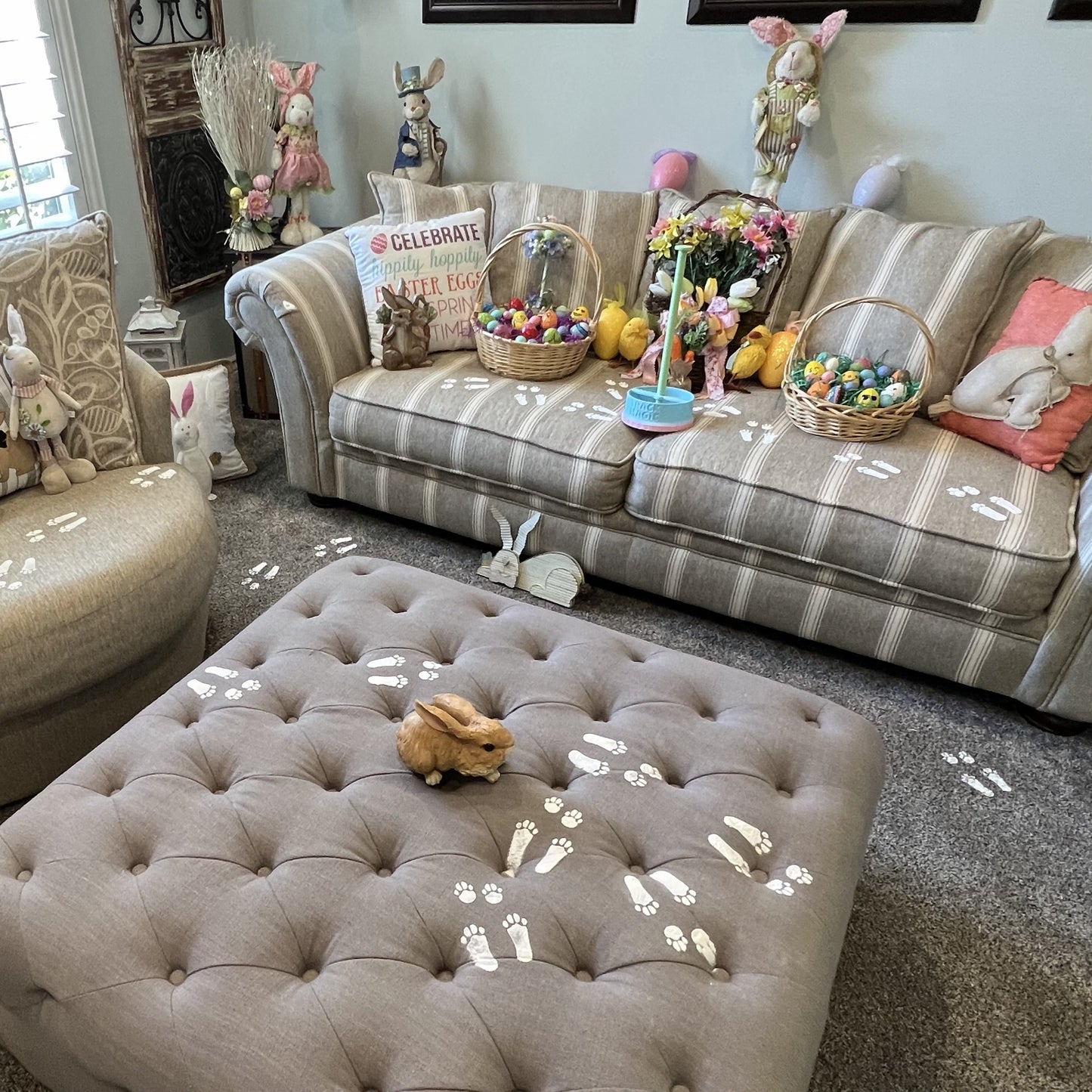 Bouncing Bunny Kit