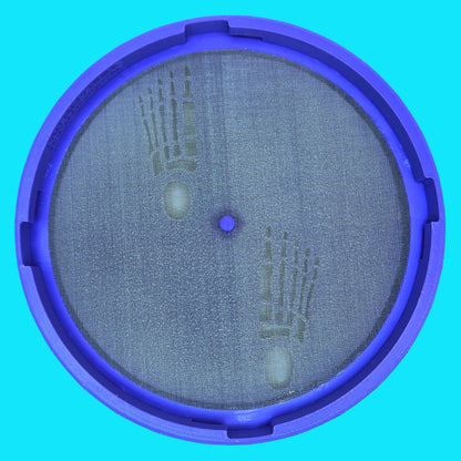Spooky Skeleton Stencil Base